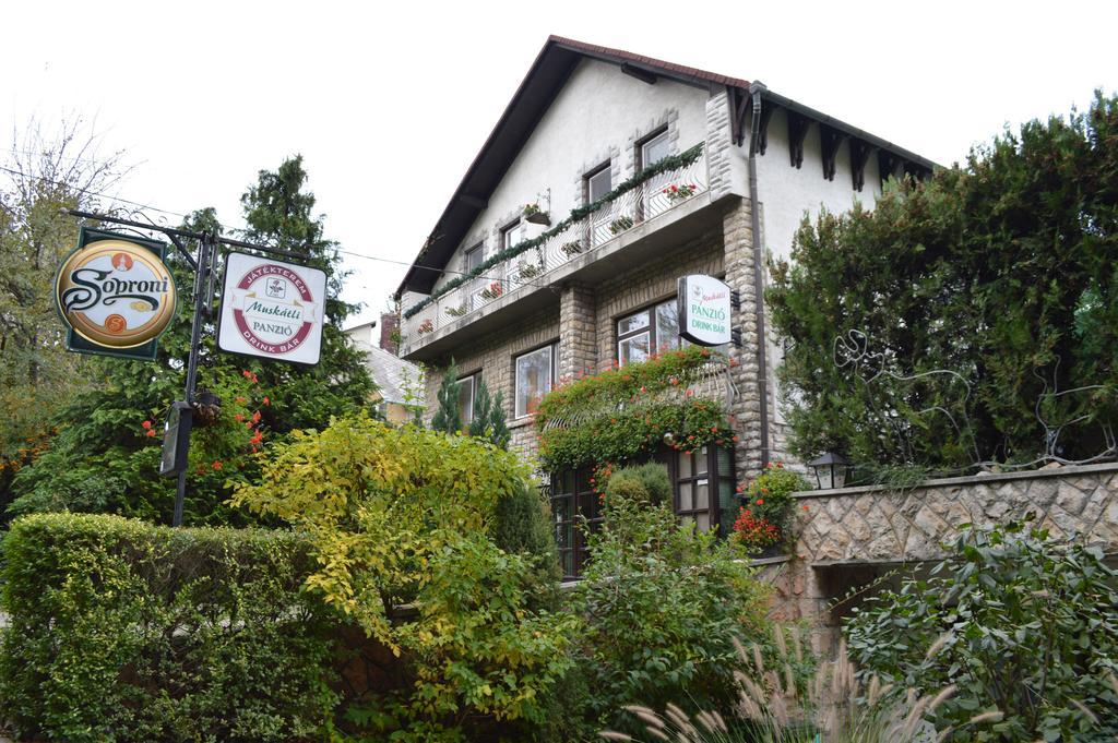 Muskatli Panzio Bed & Breakfast