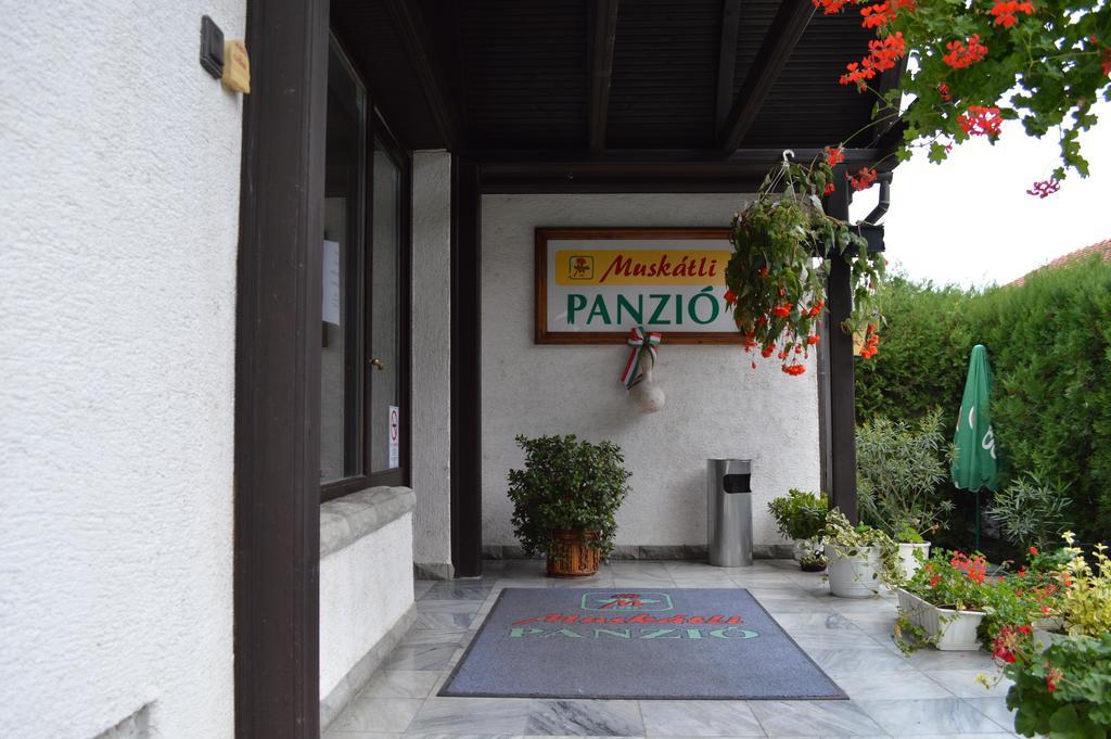 לינה וארוחת בוקר Muskatli Panzio