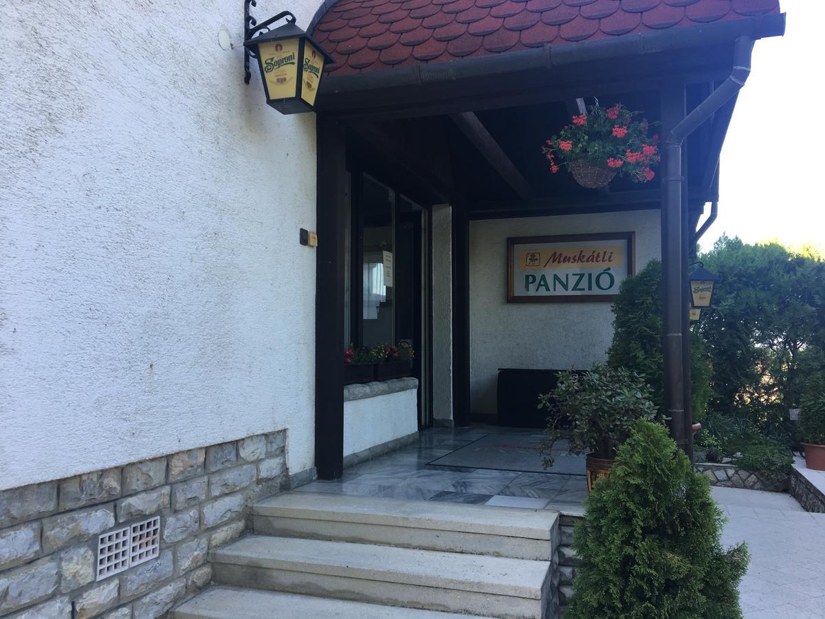 Bed & Breakfast Muskatli Panzio